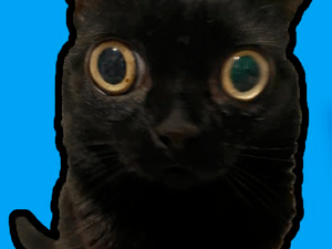 FNF Vs. Jinx the Cat