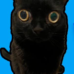FNF Vs. Jinx the Cat