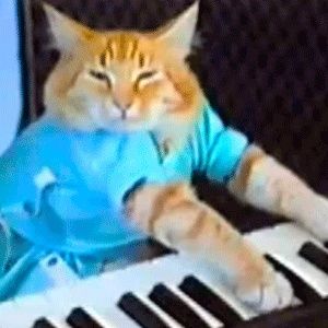 FNF vs Keyboard Cat