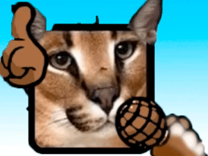 ФНФ против Райз Фанкин Флоппа